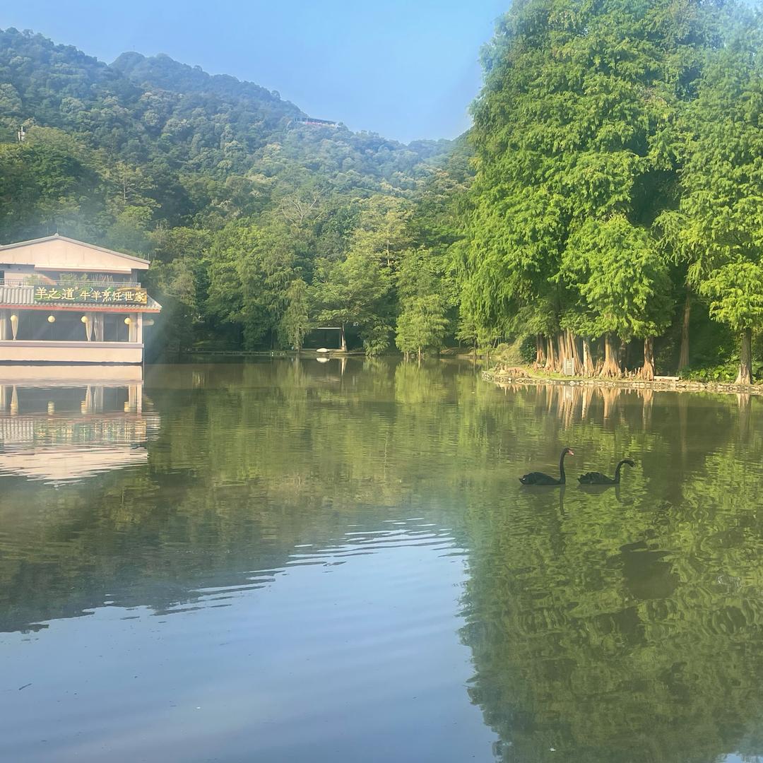coco味道