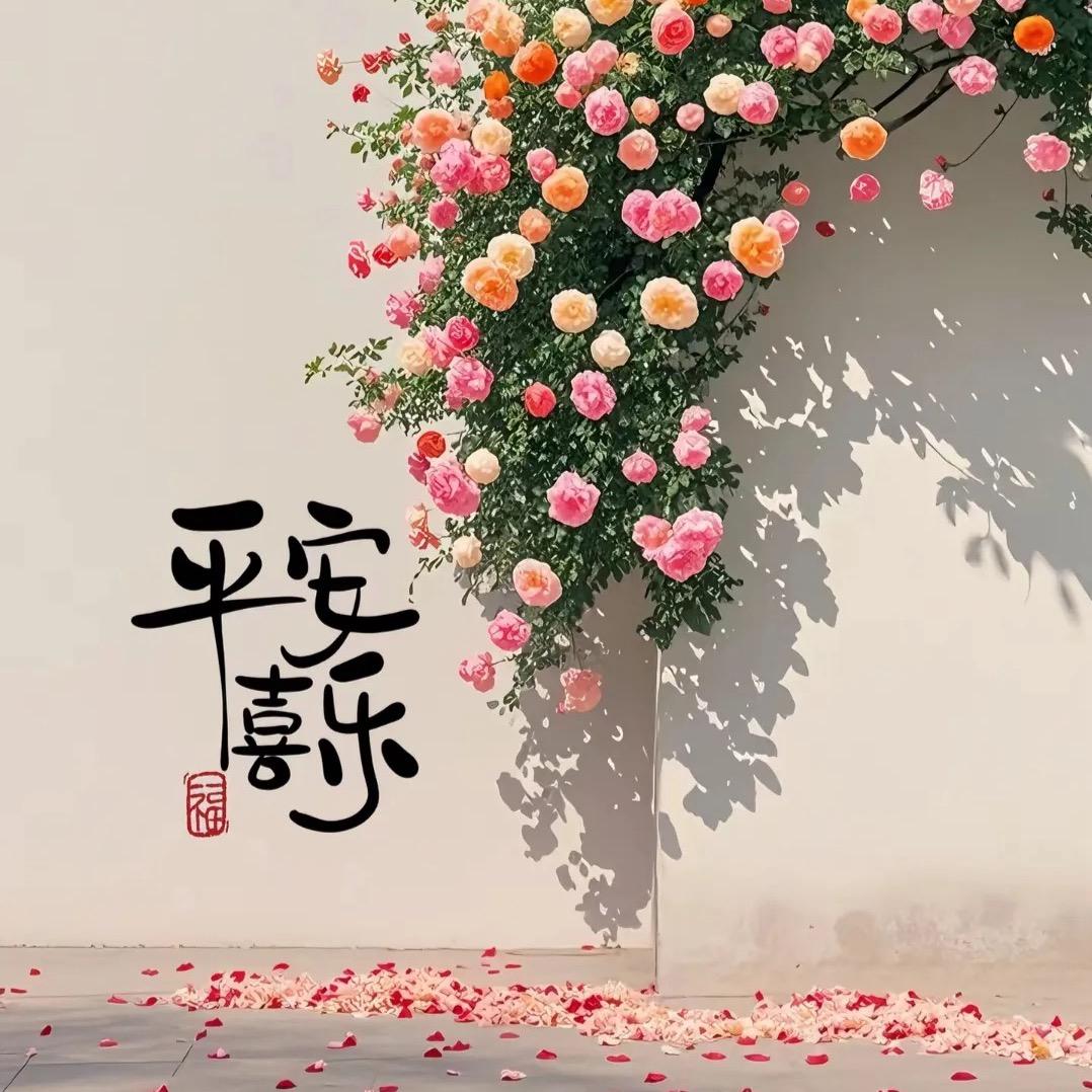 婷婷好物分享！