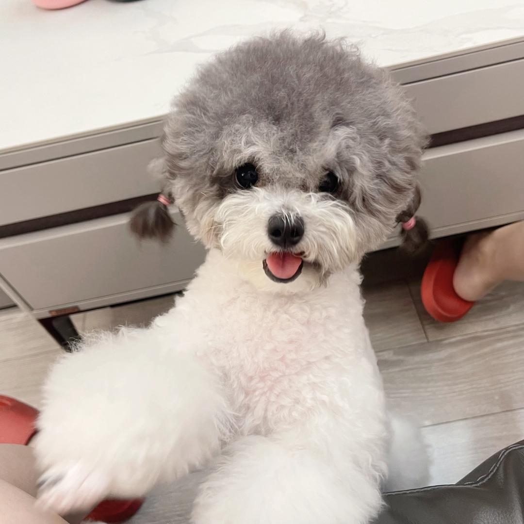 Duomi多多🎀悠米