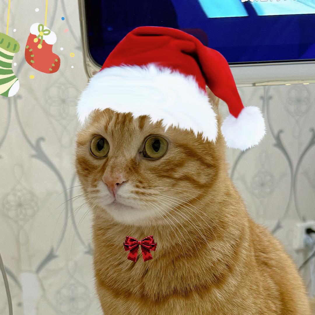 陪我打麻将陪我打麻将陪我打麻将陪我打麻将