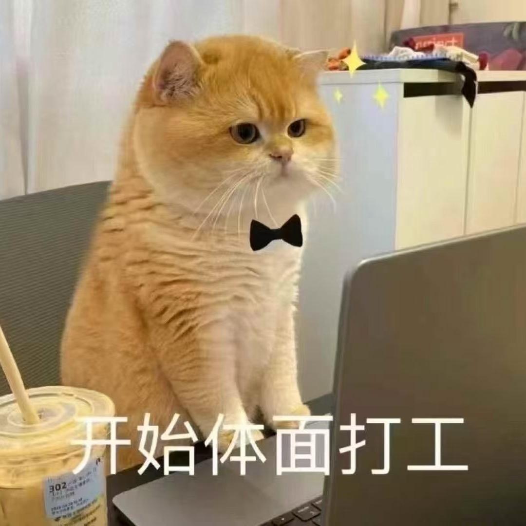 时差追梦人