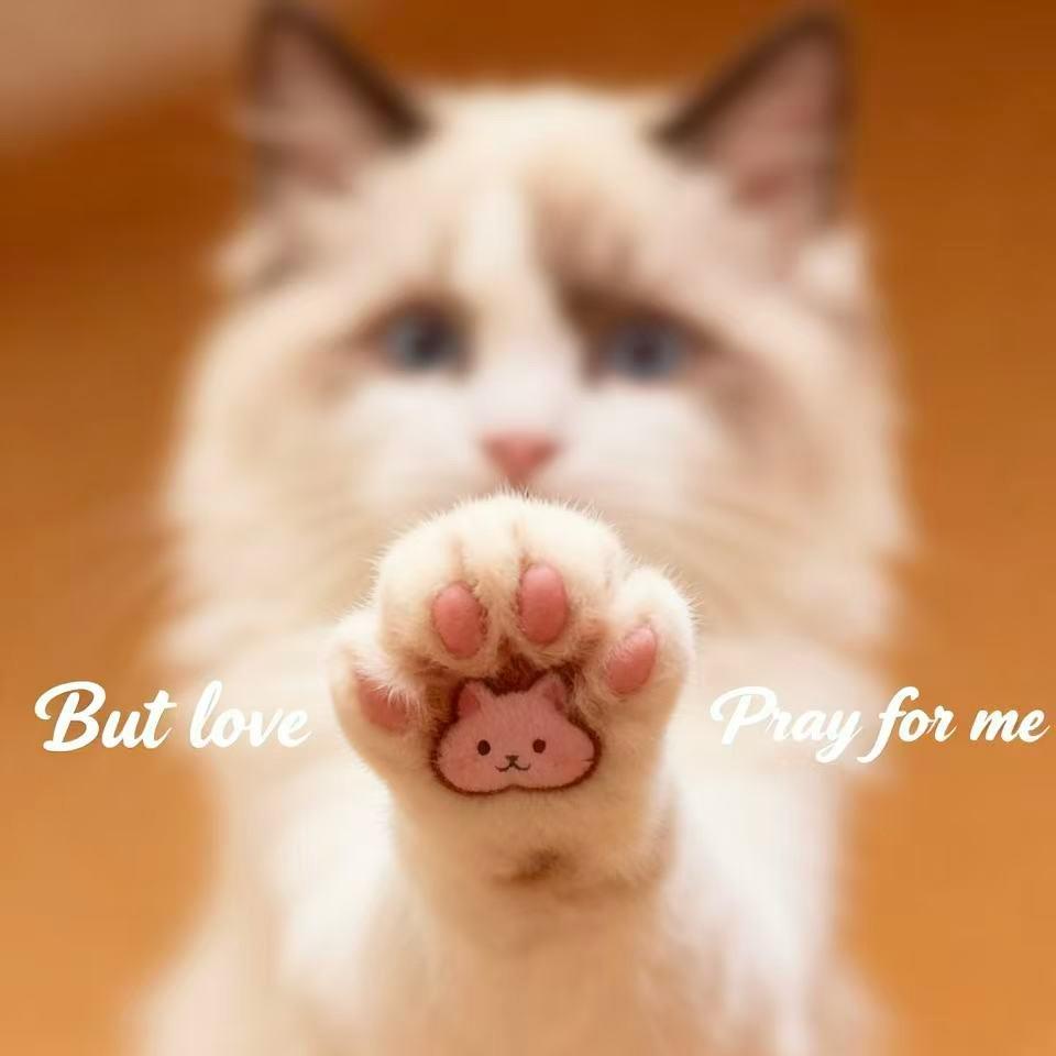 谌忆次（小施）