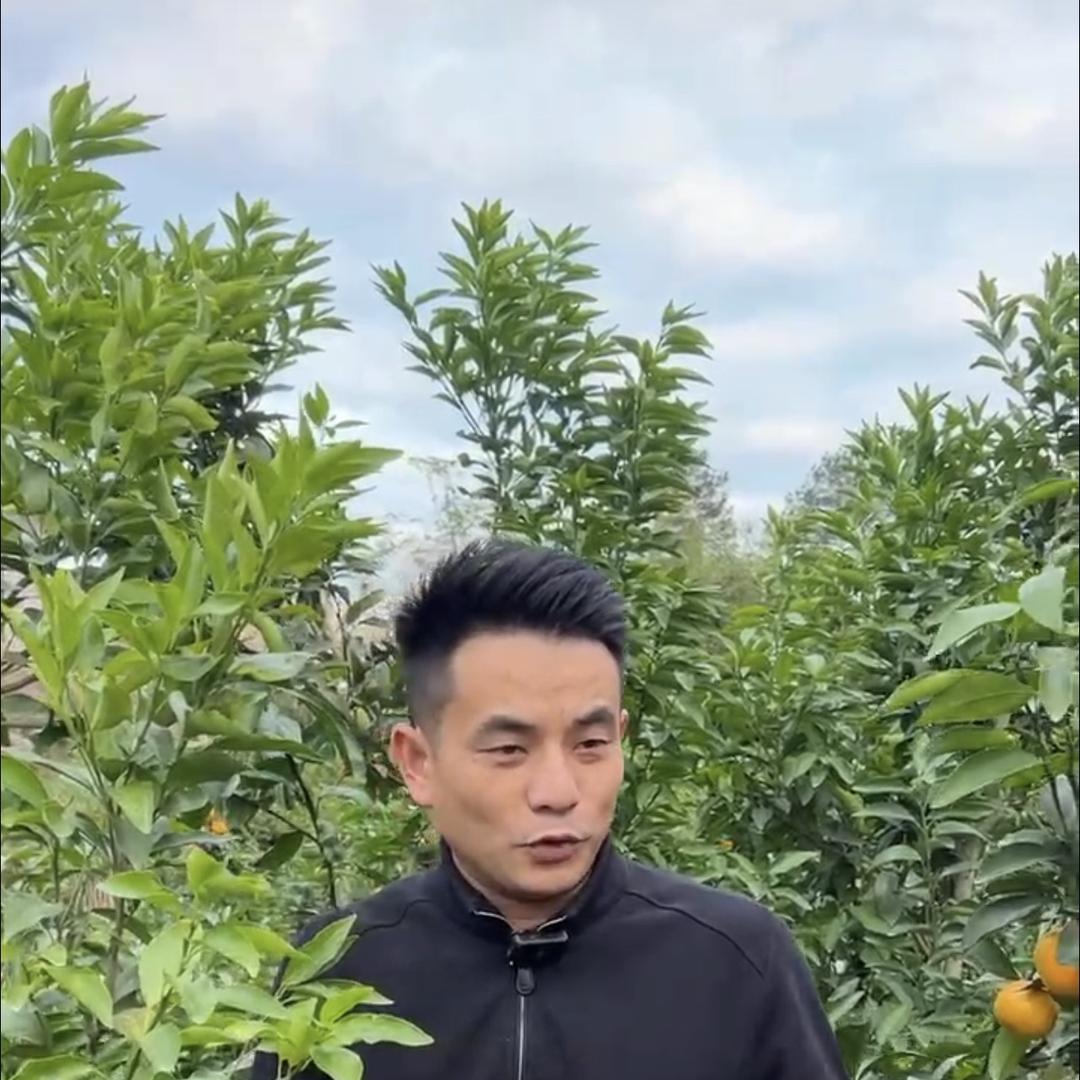 聚诚农业工厂店