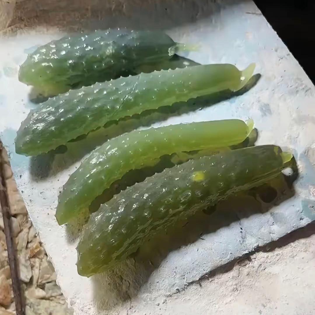 黄瓜