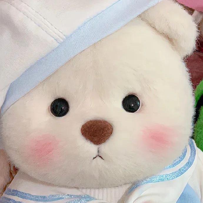 月亮睡了💤