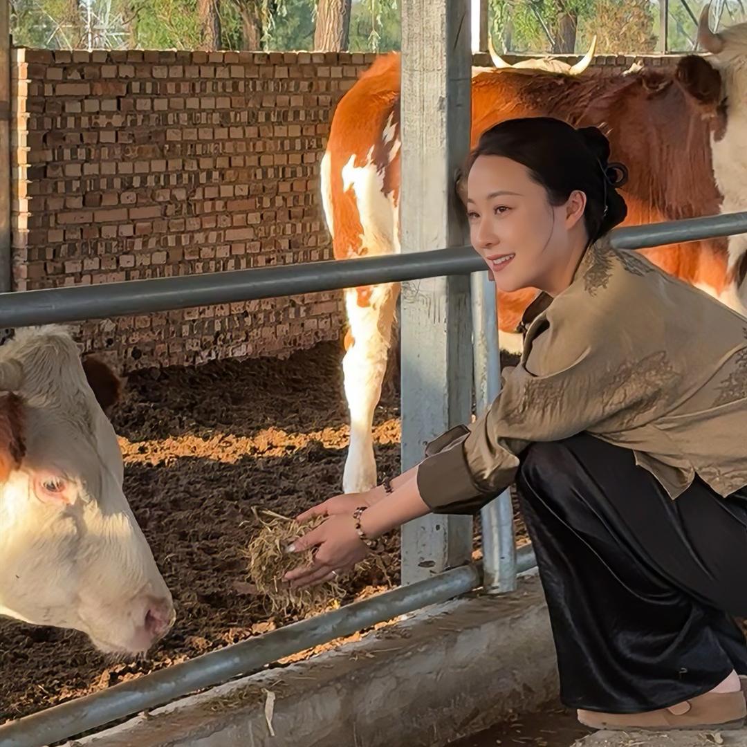 牛美人小张🐮