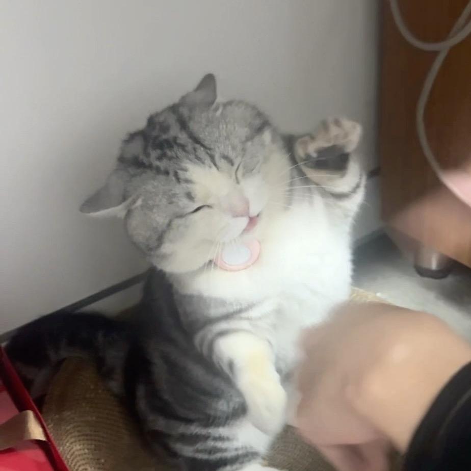 玖弦