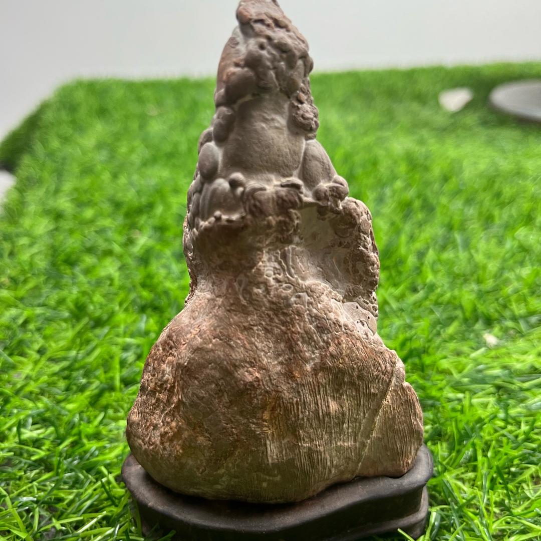 佛缘，随缘随愿。