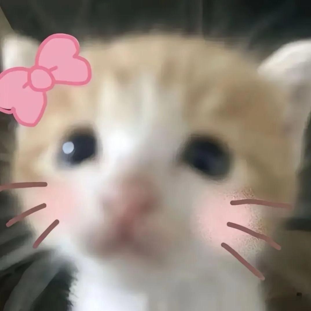 涨🔥🔥🔥🔥1000