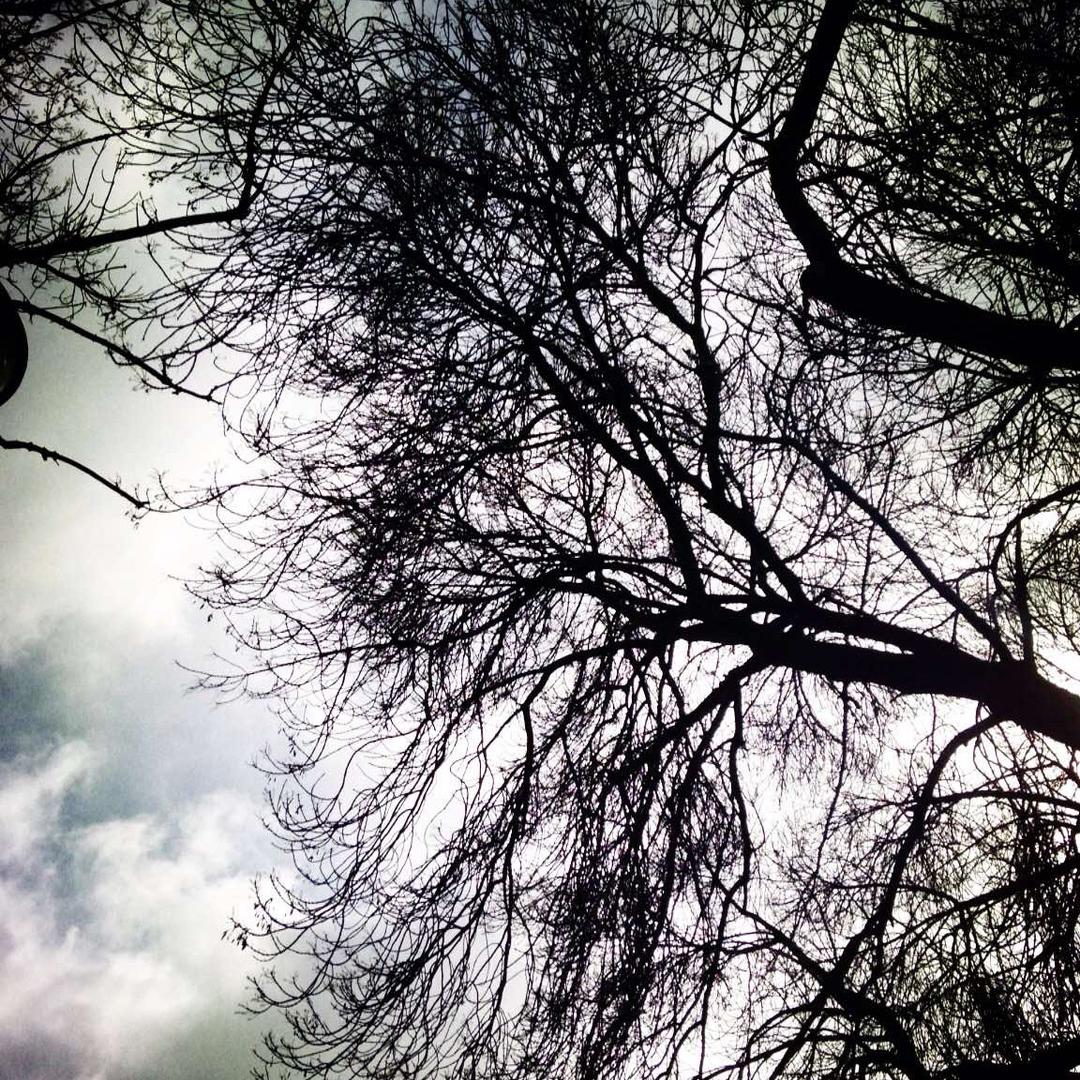 大哥的抖音小号