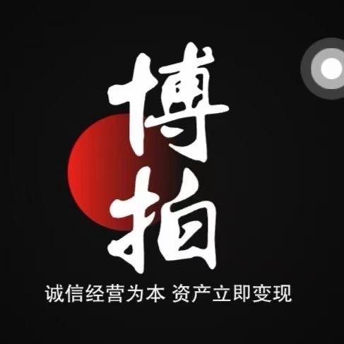 博拍—拍卖公司（资产变现）