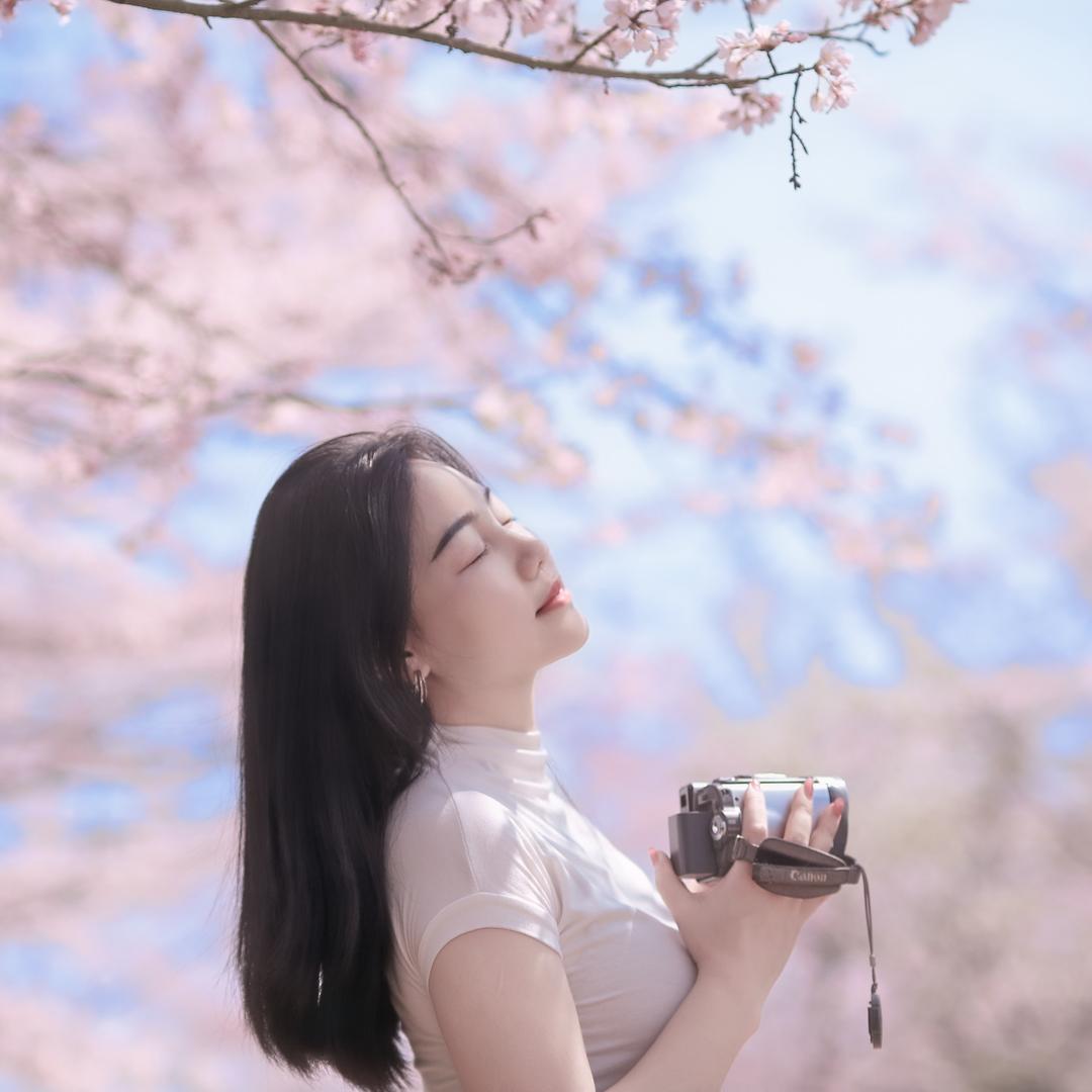 卖兔子的胡萝卜🥕