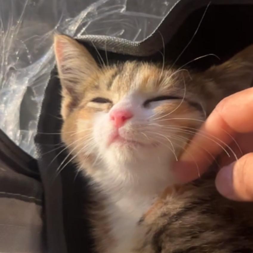 我叫来财你记住