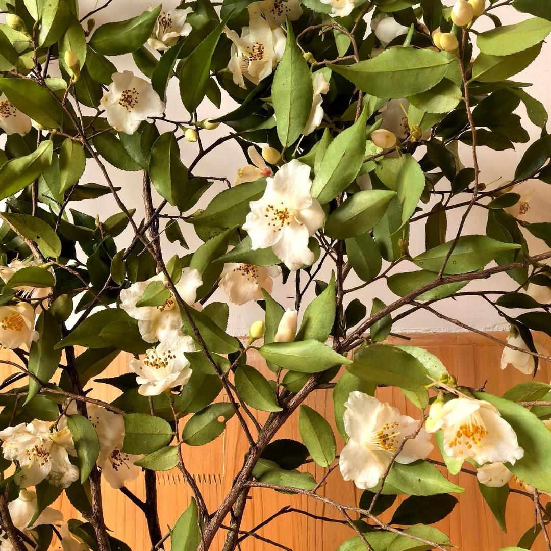 红衫☀外练内修