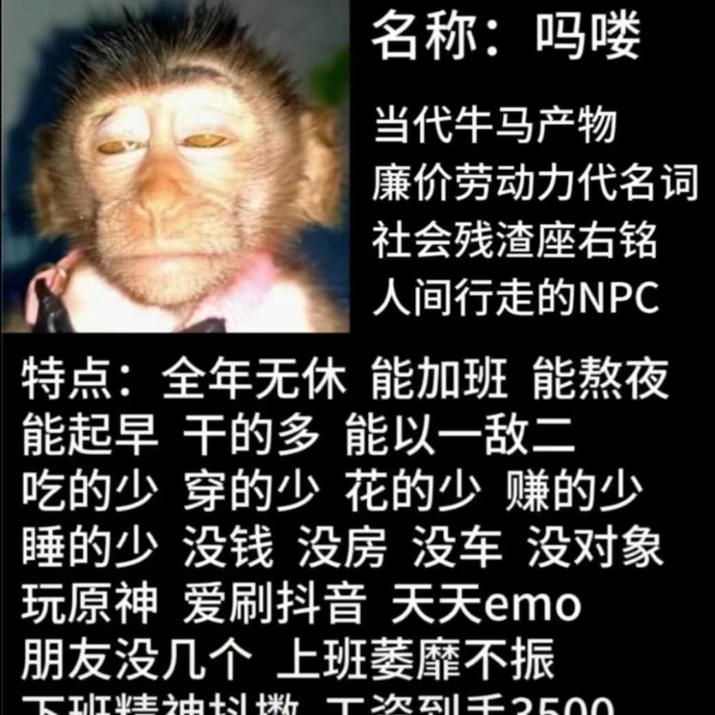 小庆（吃丹修仙）