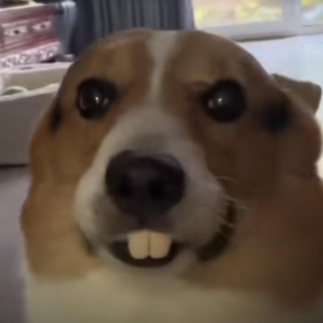 投食员（老二）