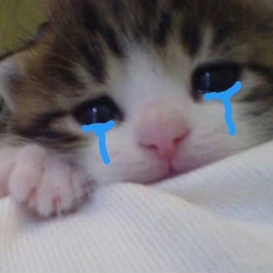 嗯嗯嗯對關泥屁事