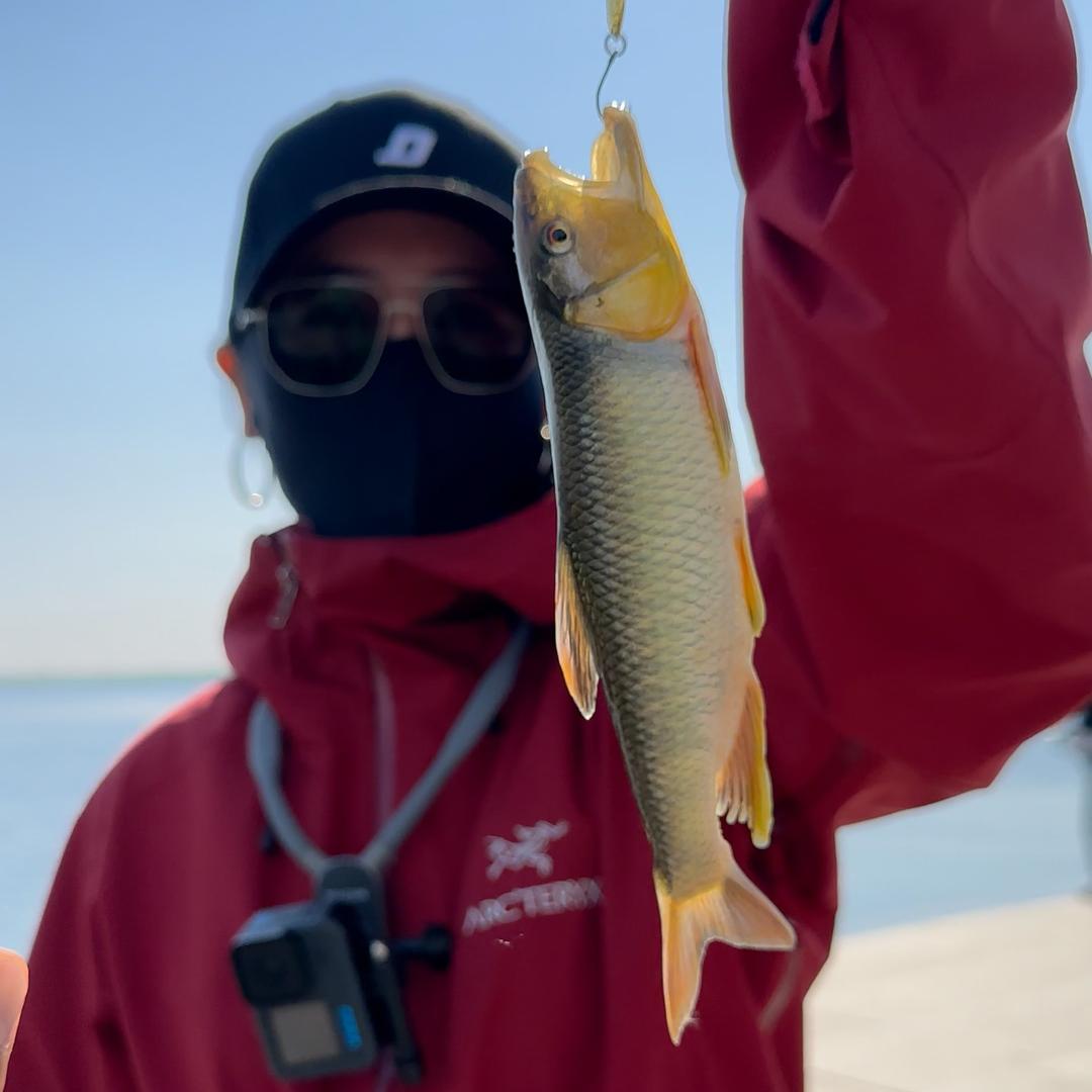 段段·𝑳𝒖𝒓𝒆🎣