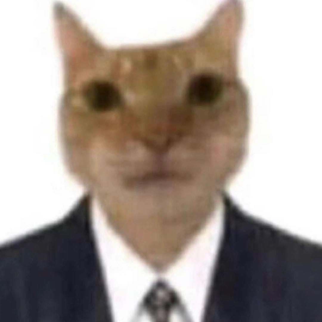 恶毒猫猫头