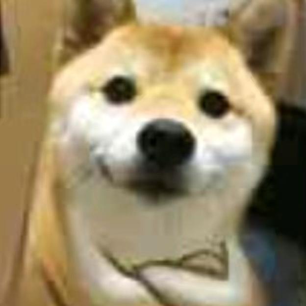 老鼠王