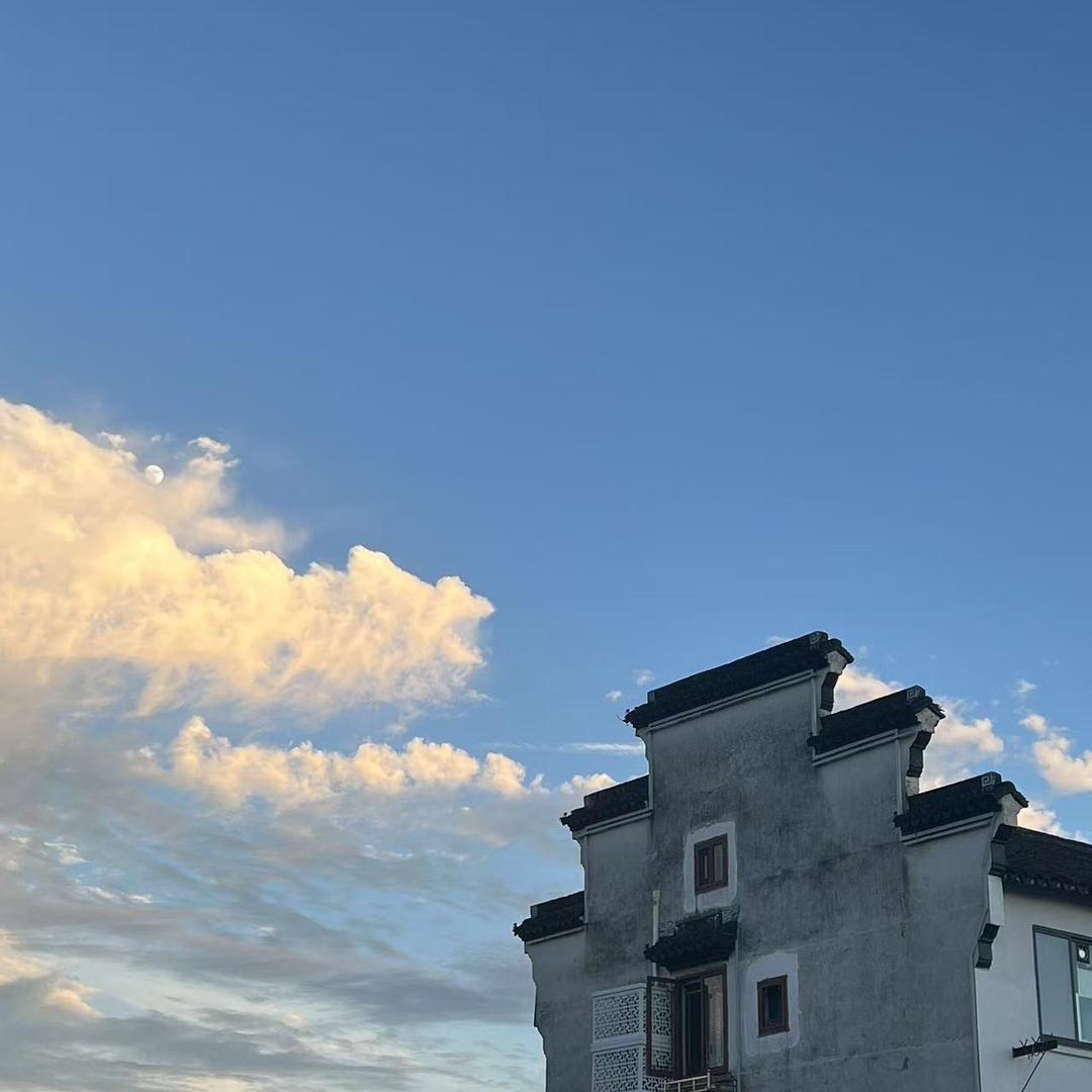 🉑️随风吹走烦恼