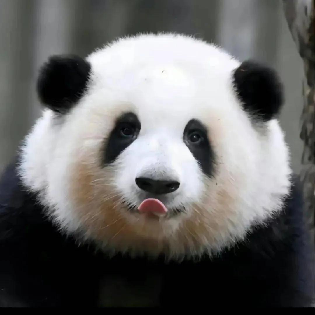 果