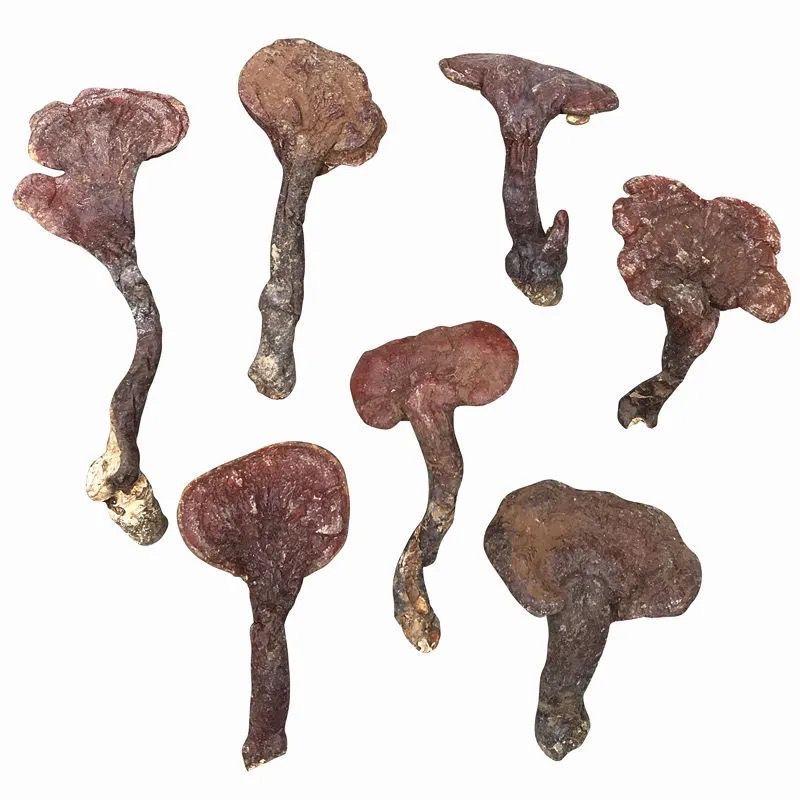 山里山外土特产