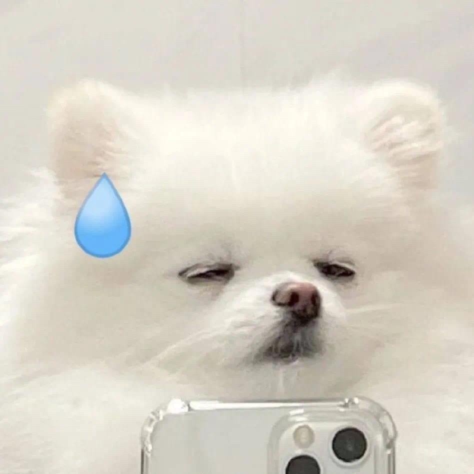 (◍•ᴗ•◍)