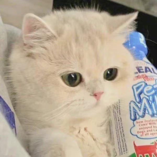凡夫俗子*