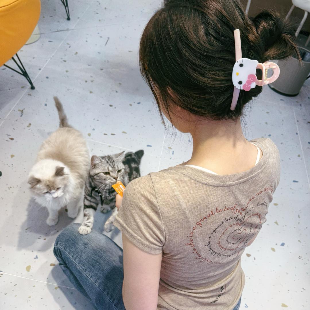 长渐意
