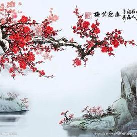 小萍吖