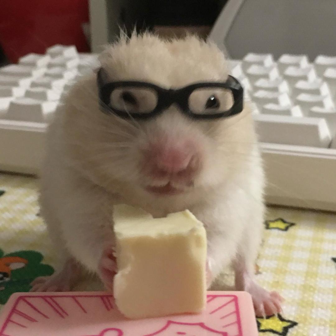呼噜