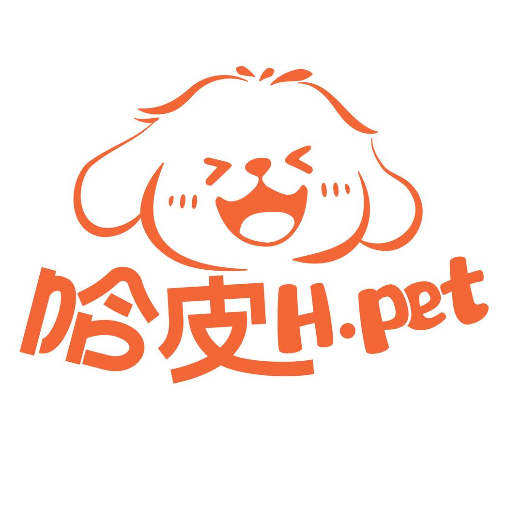 哈皮HPET手作
