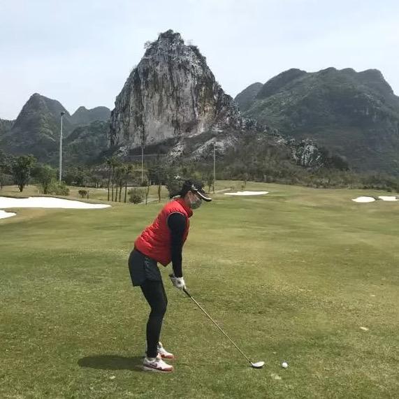 别叫林董📈【茶礼茶器】