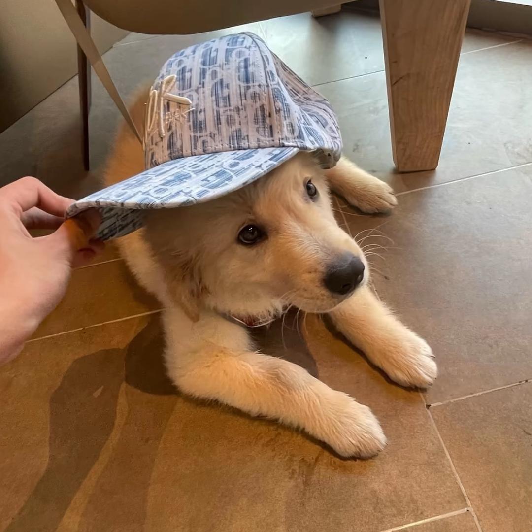 人有三万个明天