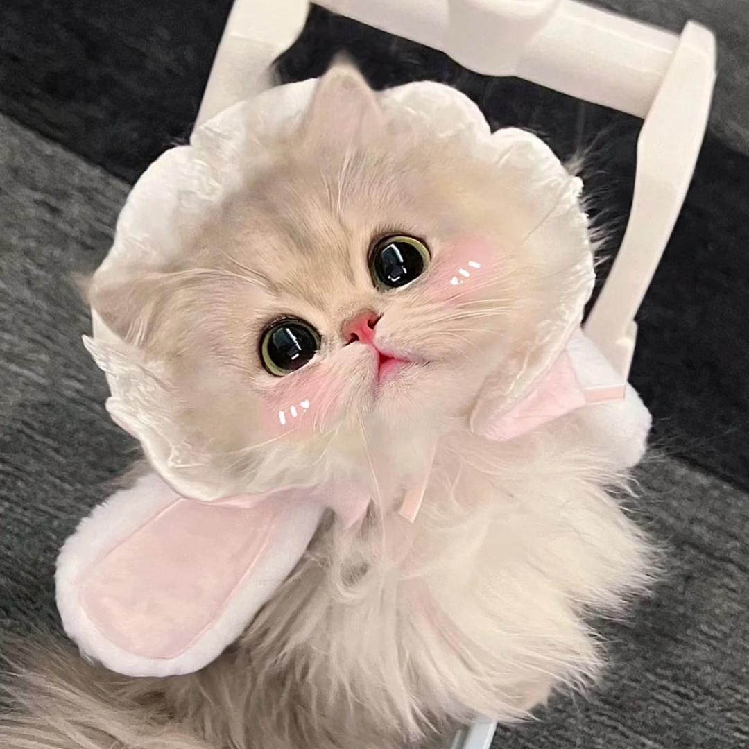 猫布布文创杂货铺