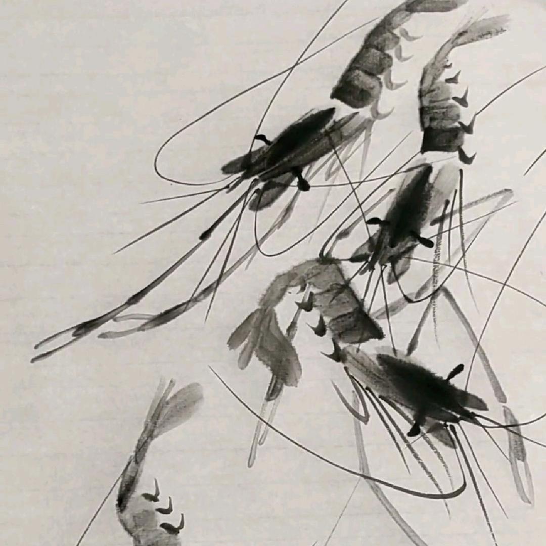 🦐左护右法🦐