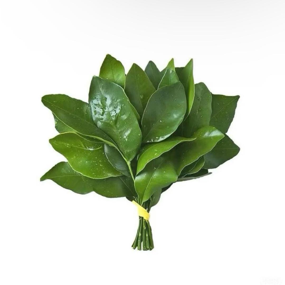 荼泡泡