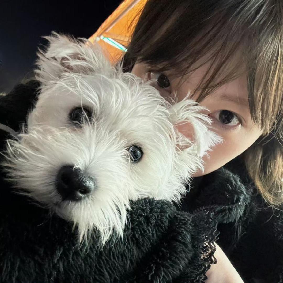 _小毛睡着了