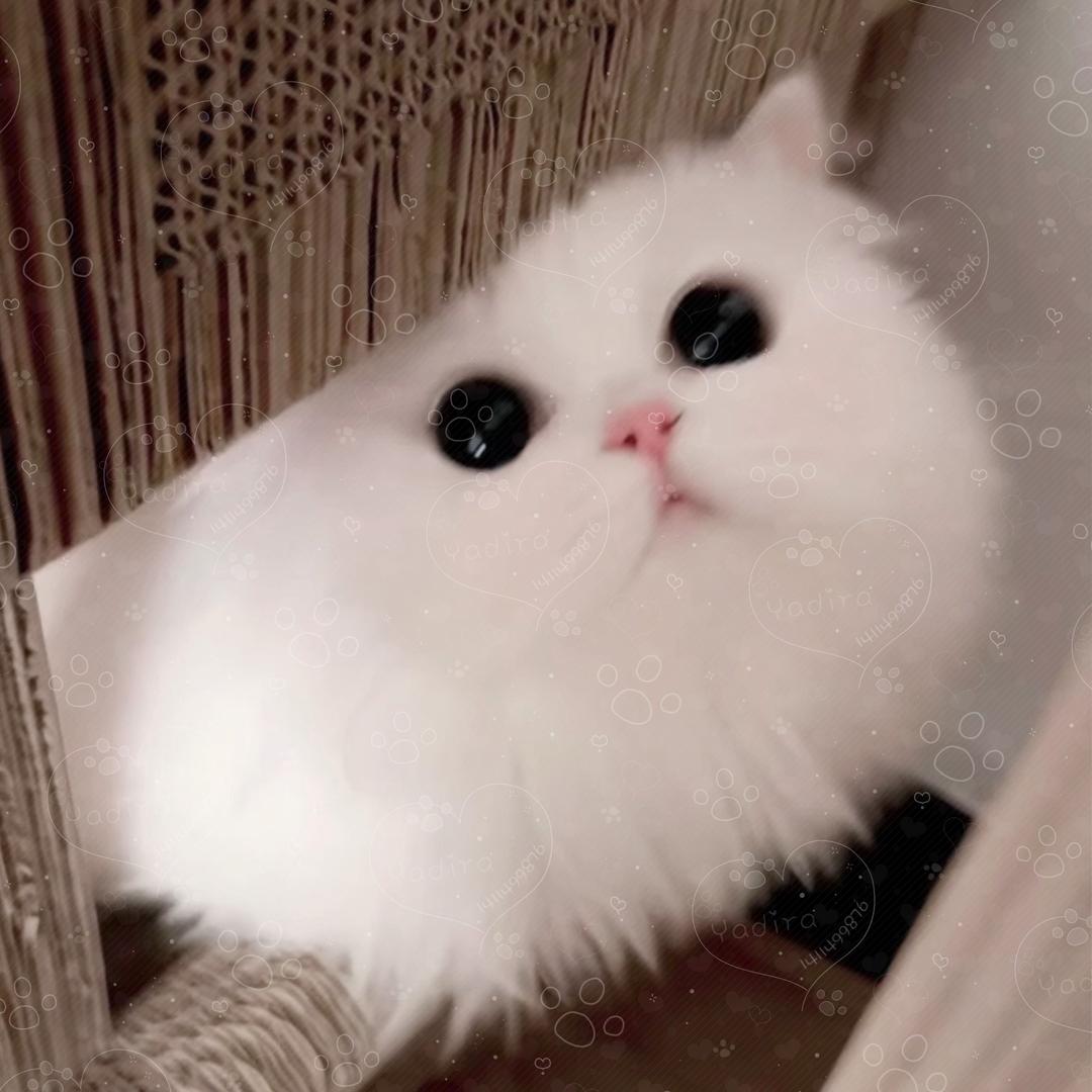 拥有