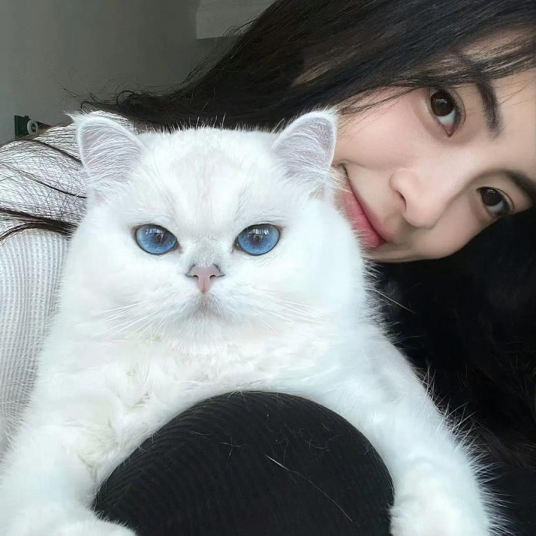 青州予予头像