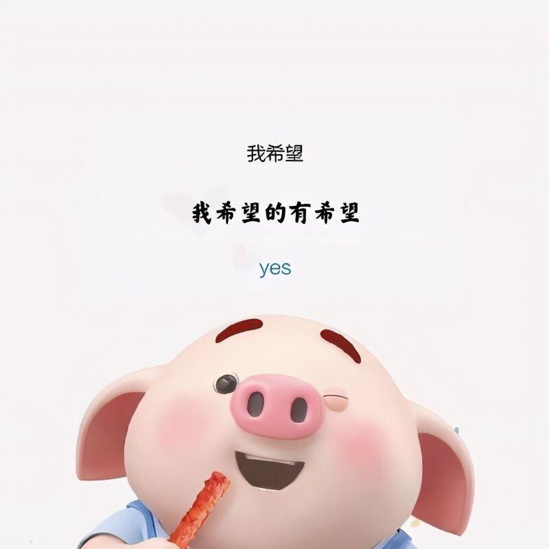 @莫失莫忘