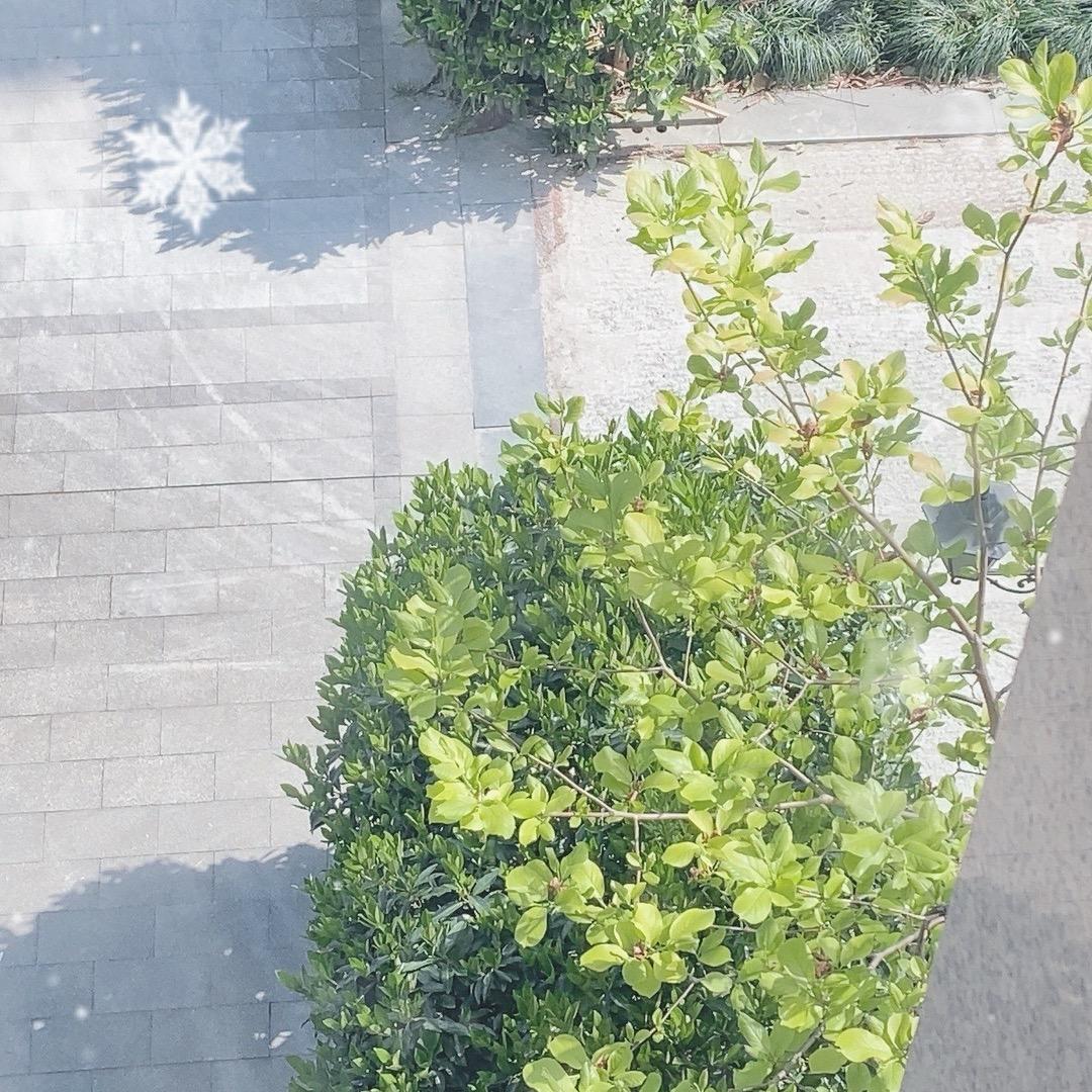 人生无成