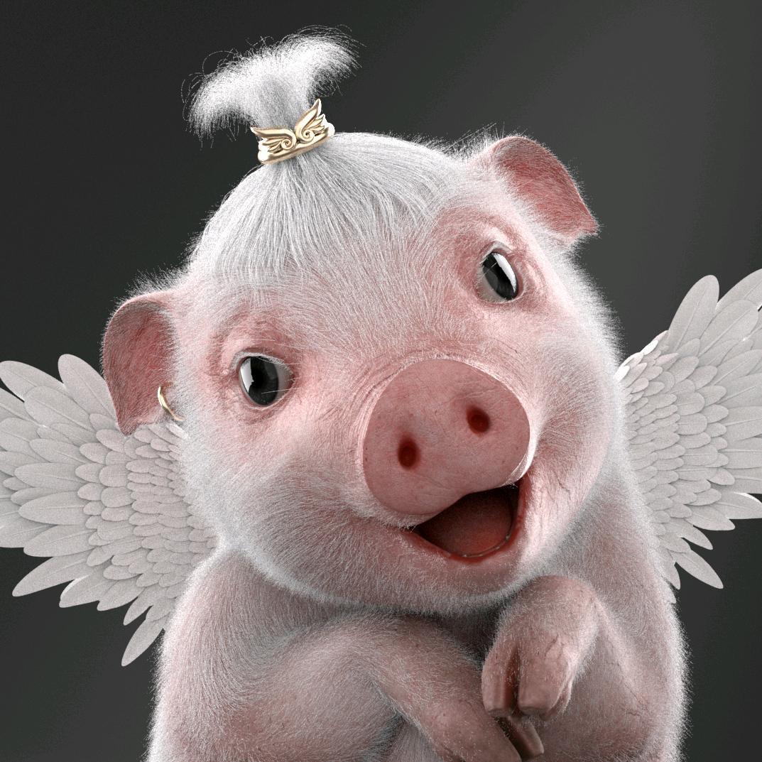 谁的猪猪吖🐷🐷
