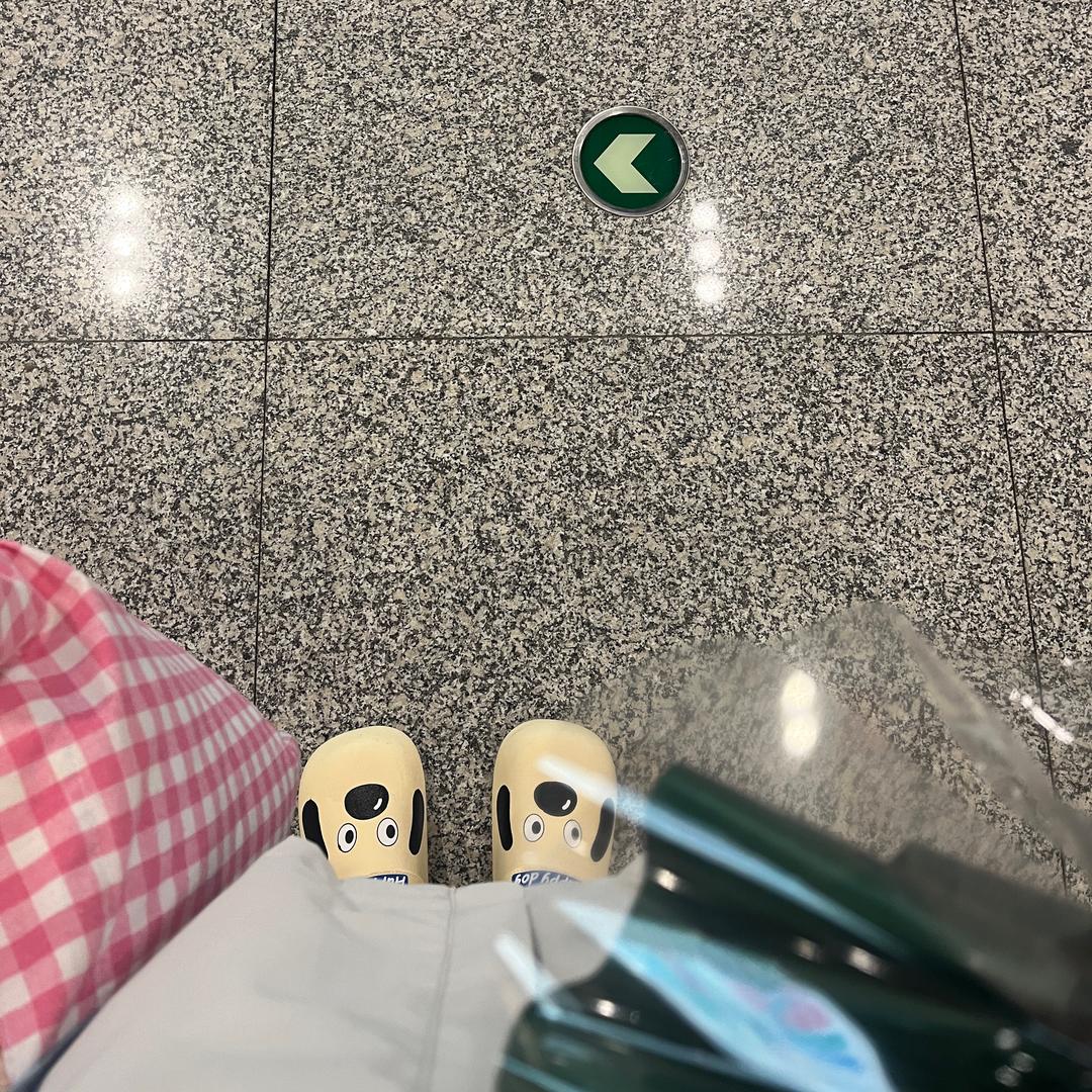 今天吃什么好呢