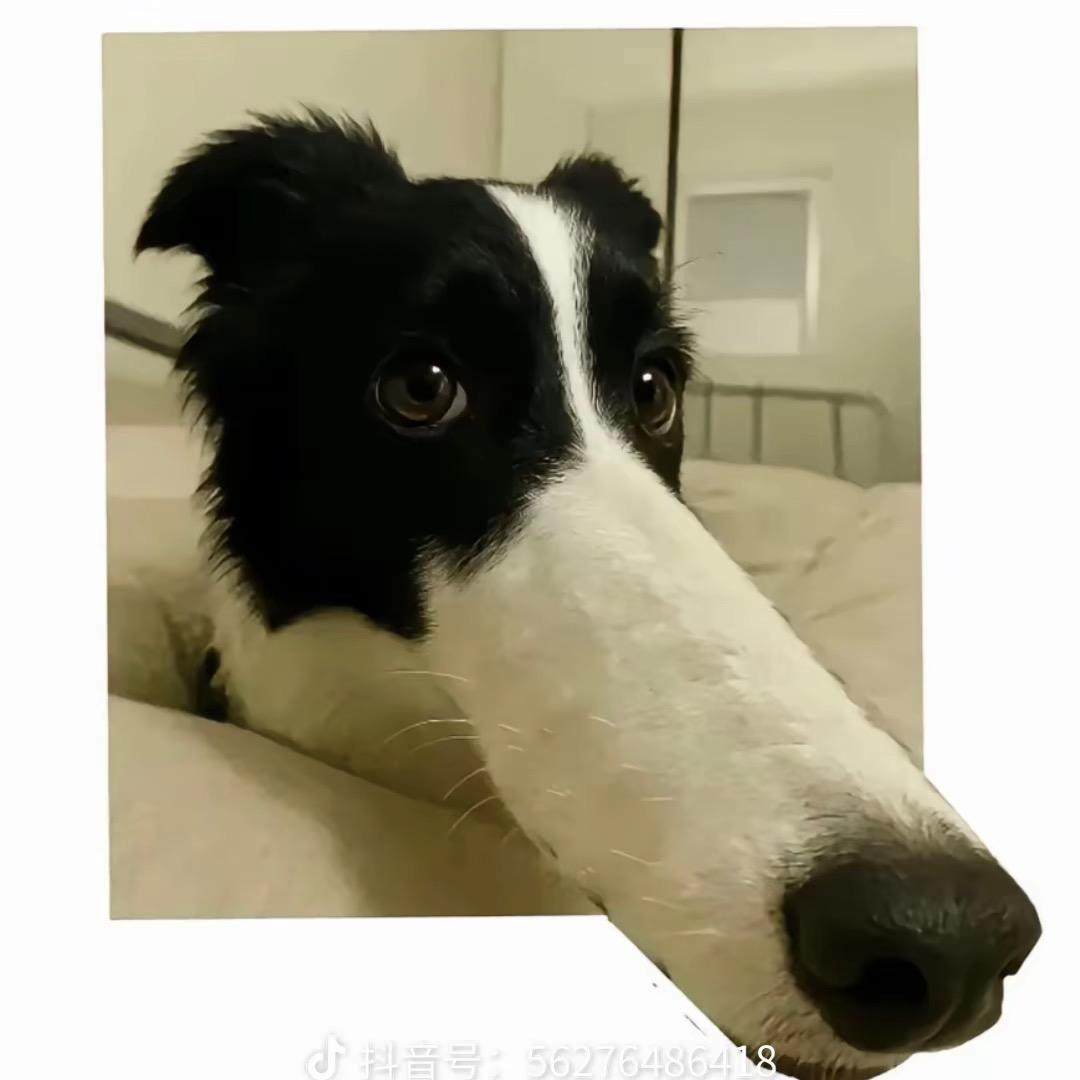 一佳六