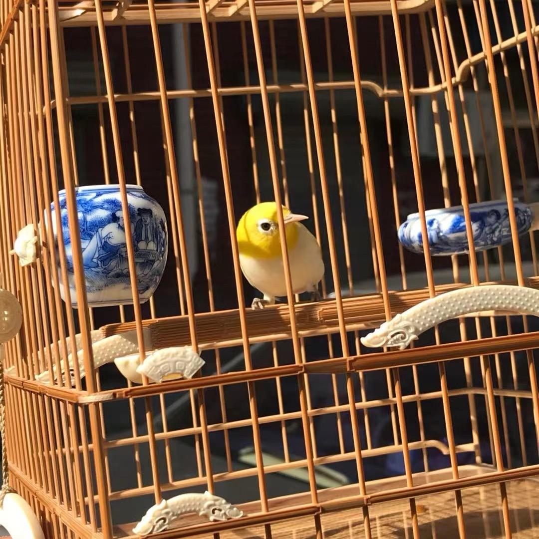 朝朝一鸣鸟笼鸟具