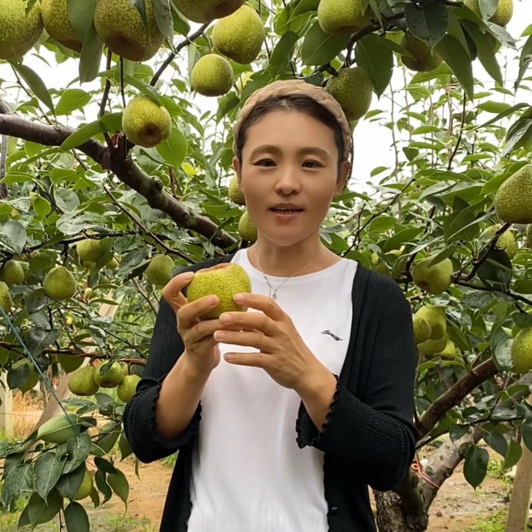 吖吖二姐“大帆”