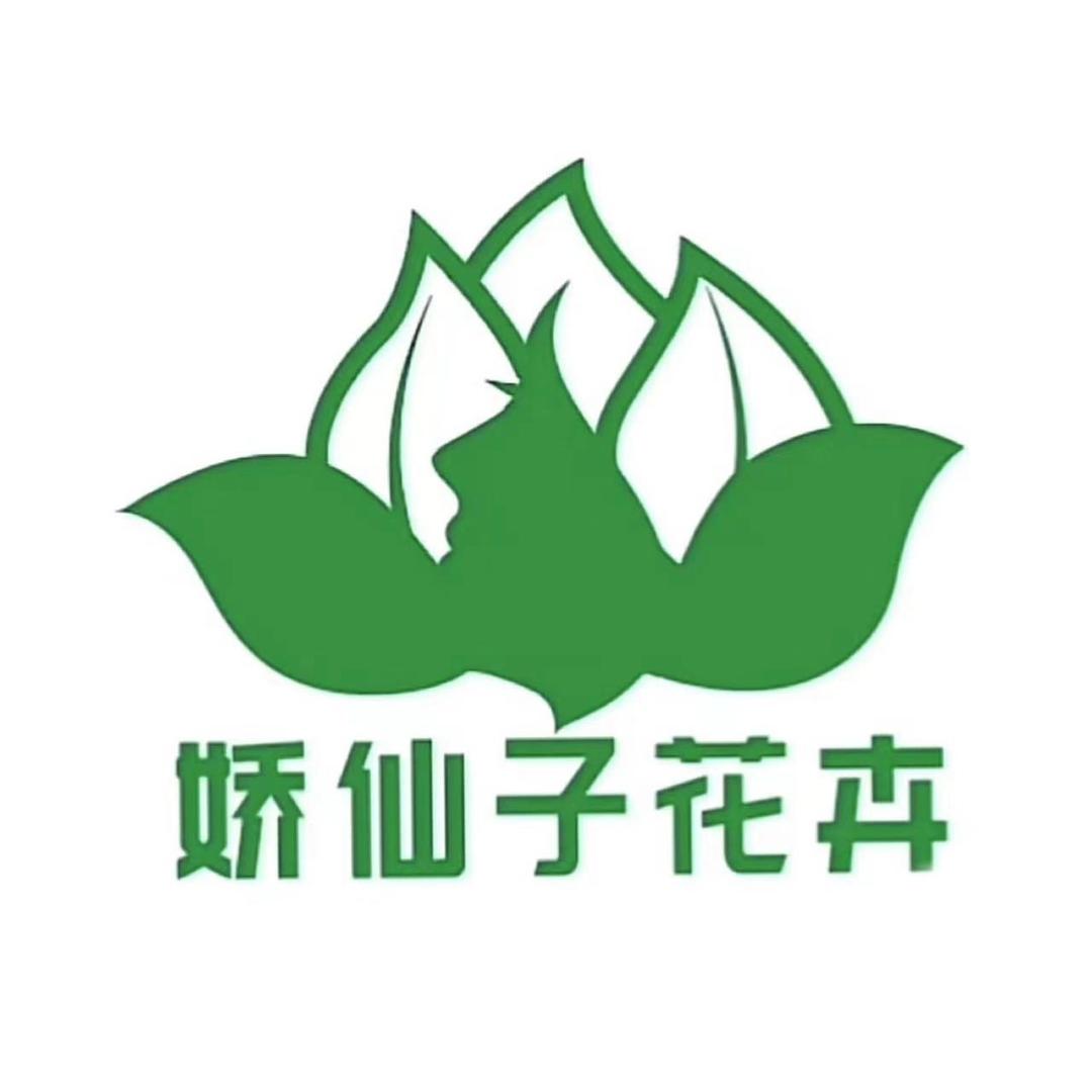 娇仙子花卉