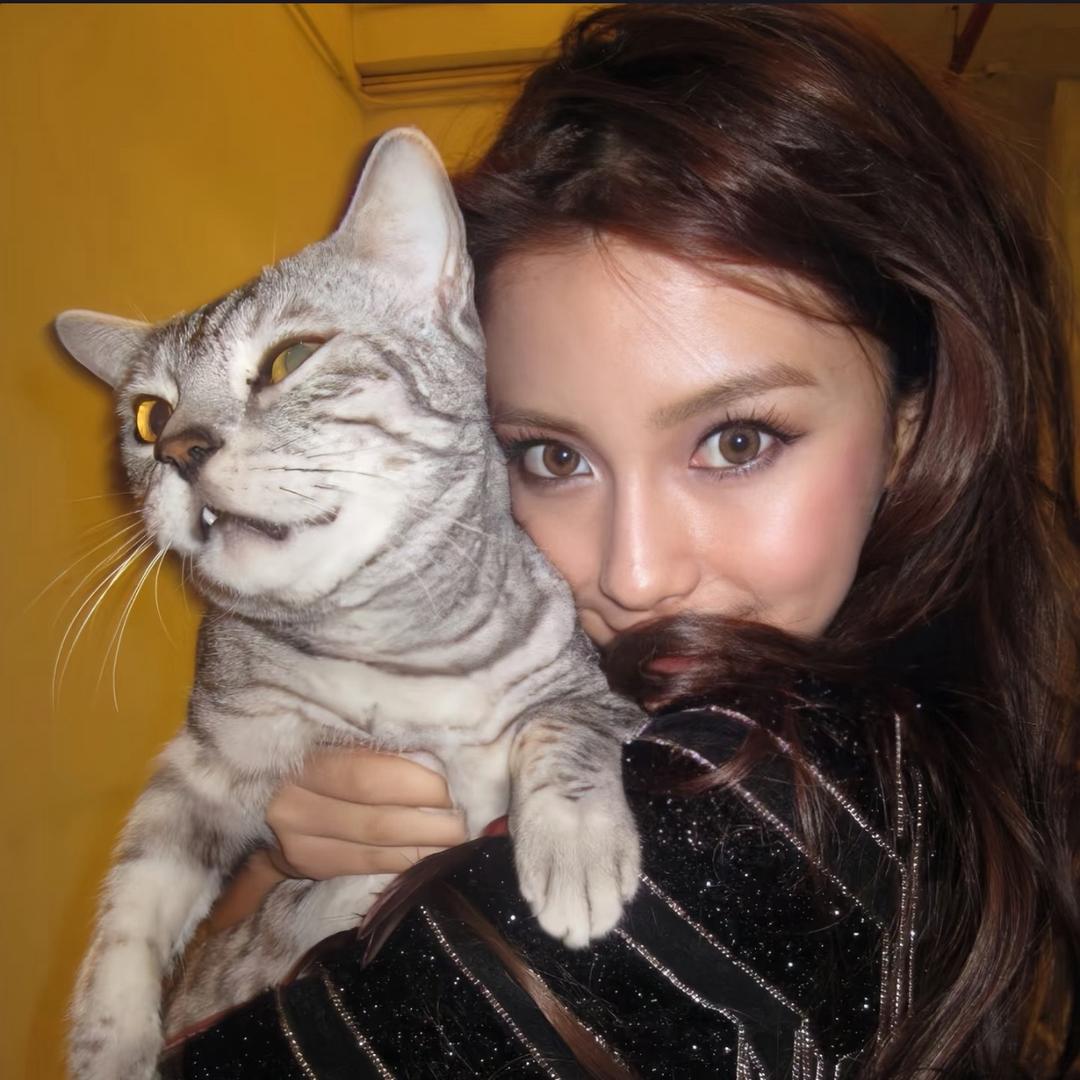 😺😸😸